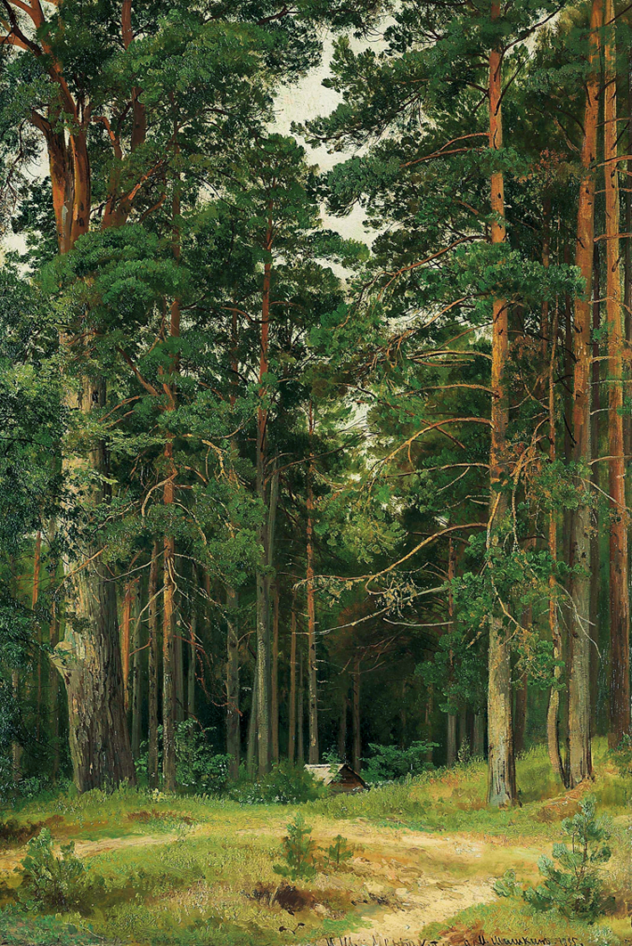  伊凡·伊凡诺维奇·希施金 Ivan I. Shishkin —— Ivan Shishkin-104